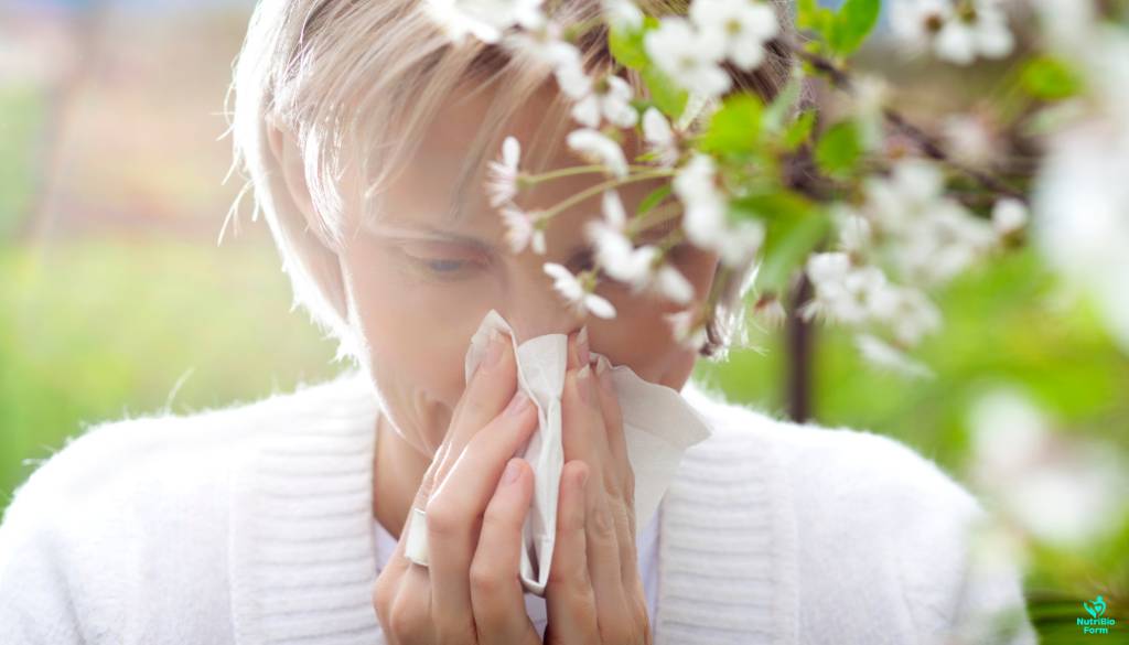 Understanding Pollen Allergie