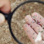 microplastic detox