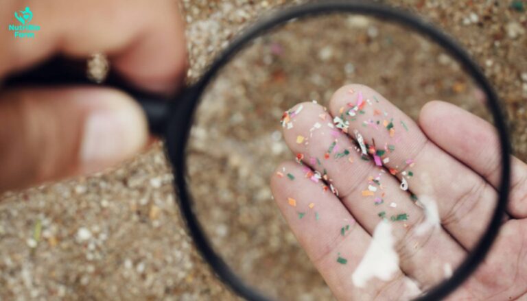 microplastic detox