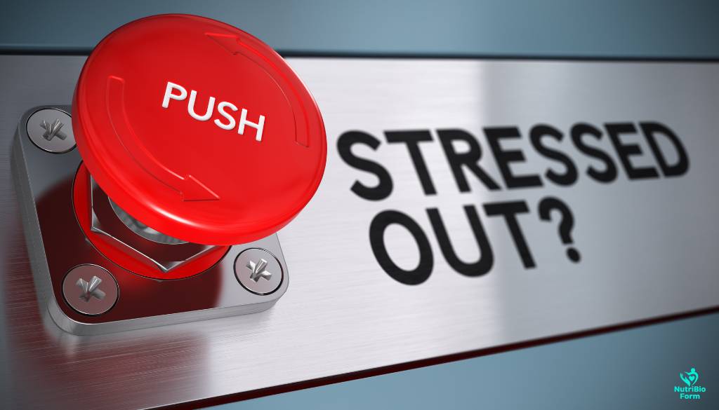 self-care for stress
