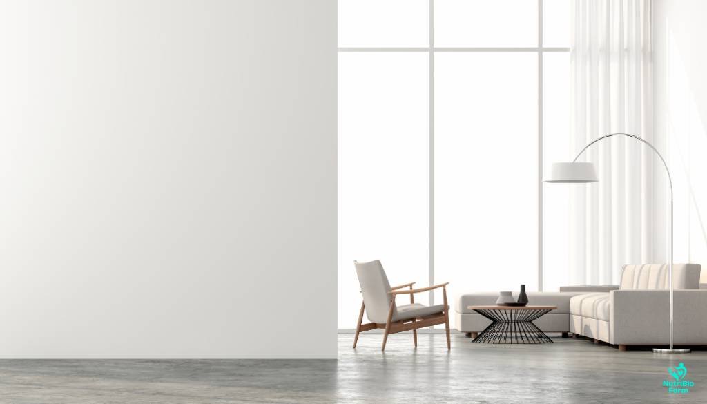 Minimalism and Happiness Benefits