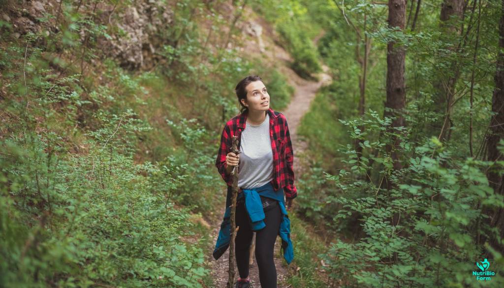 Nature Sounds and Their Connection to Relaxation
