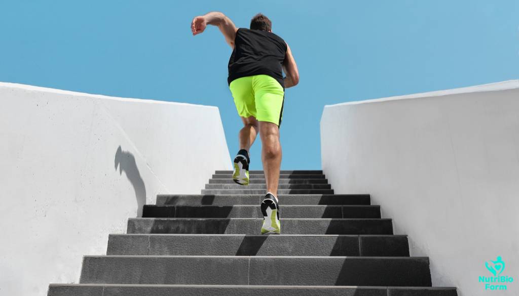 beginner HIIT workouts