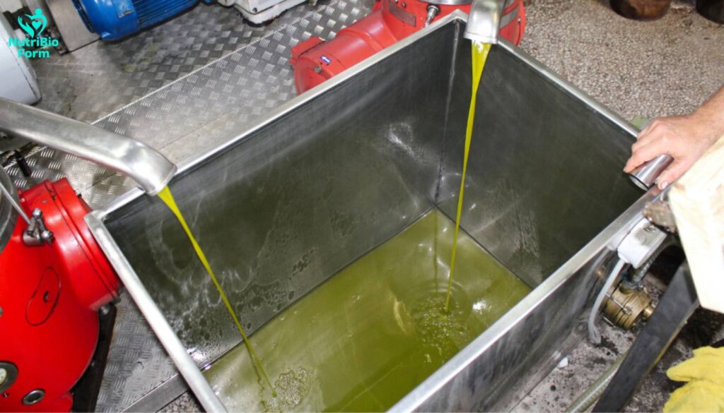  Extra Virgin Olive Oil