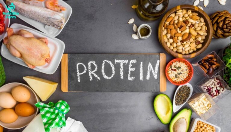 What Is Protein